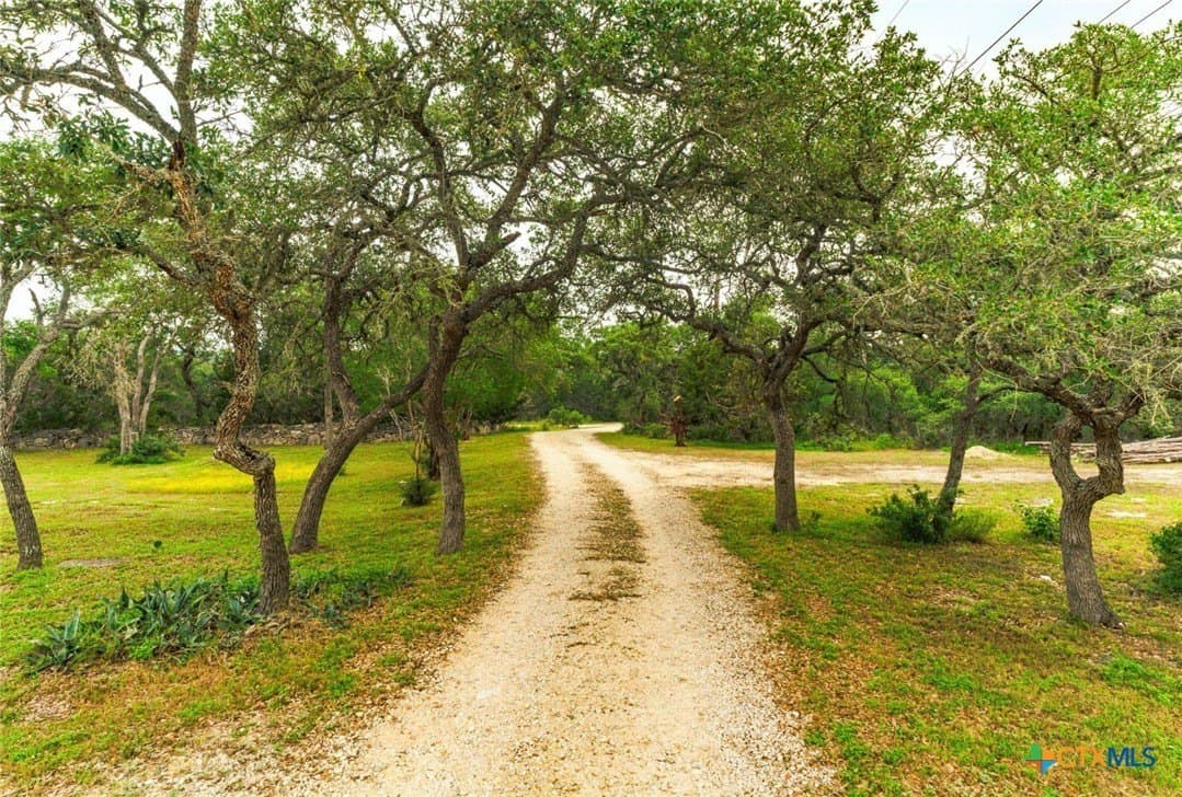 12 acres in Hays County - photo 5