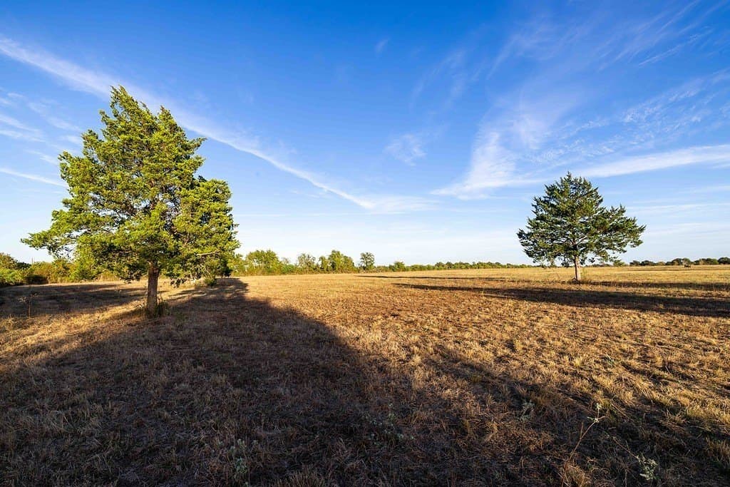 30 acres in Fayette County - photo 3