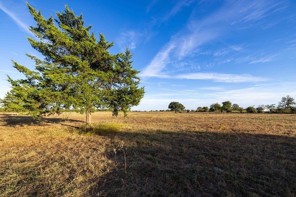 30 acres in Fayette County - photo 4