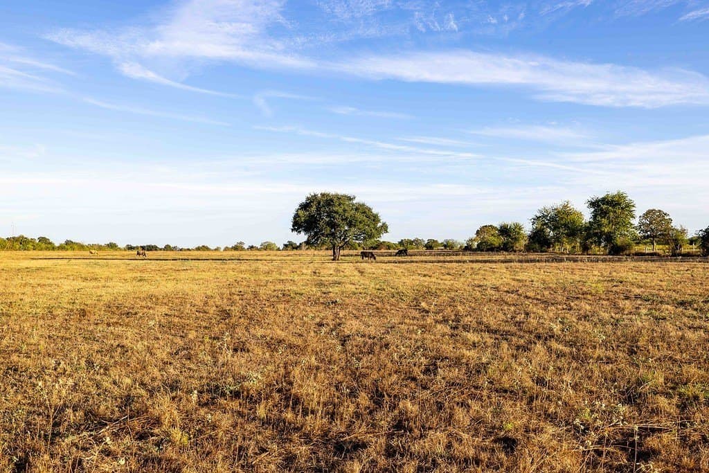 30 acres in Fayette County - photo 6