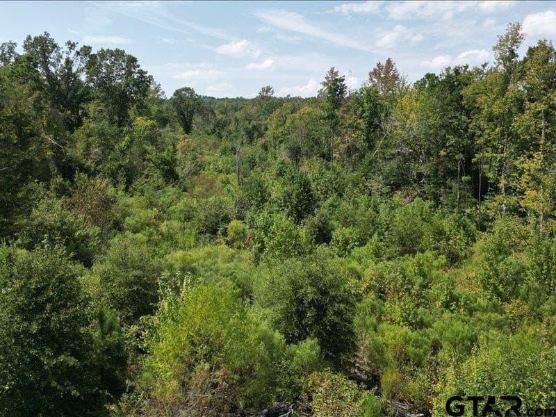 32 acres in Smith County - photo 8