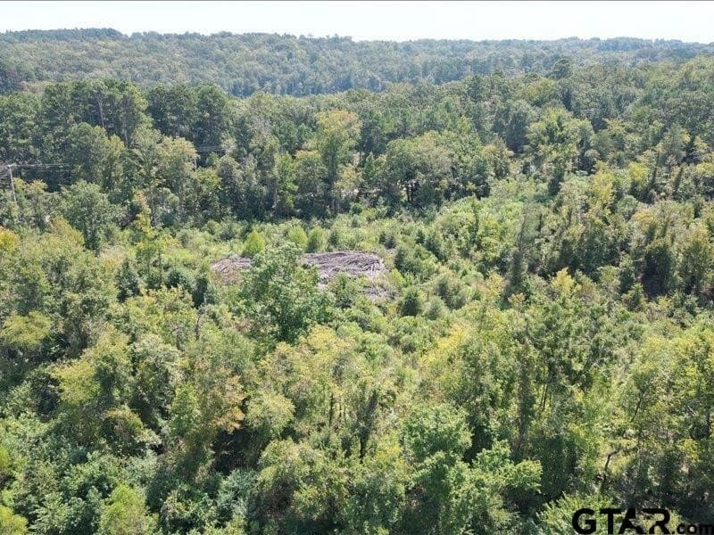 32 acres in Smith County - photo 9