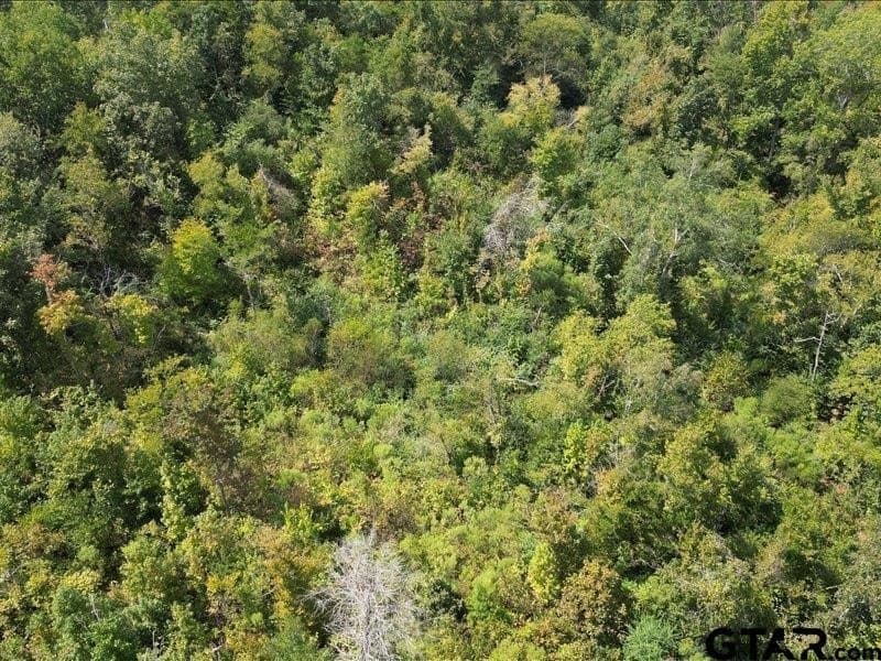32 acres in Smith County - photo 7
