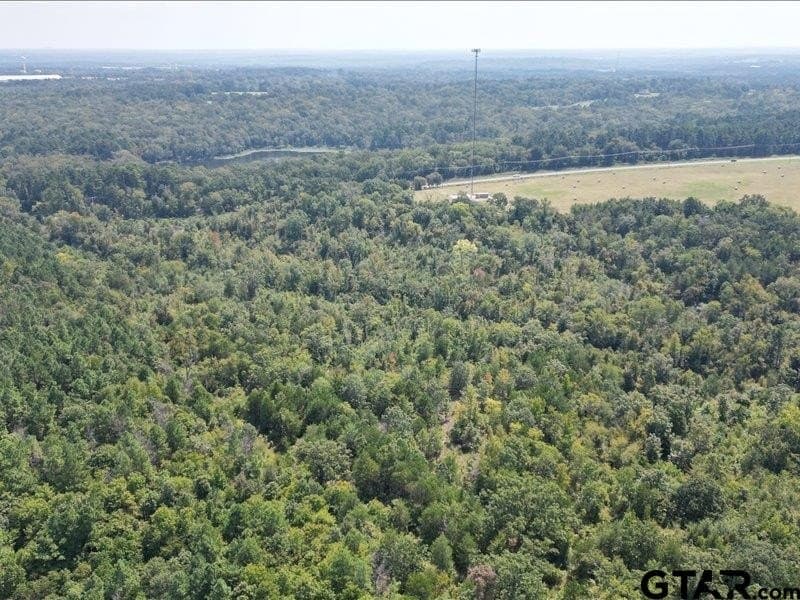 32 acres in Smith County - photo 5