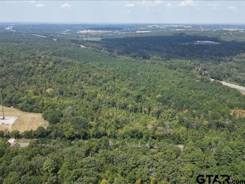 32 acres in Smith County - photo 6