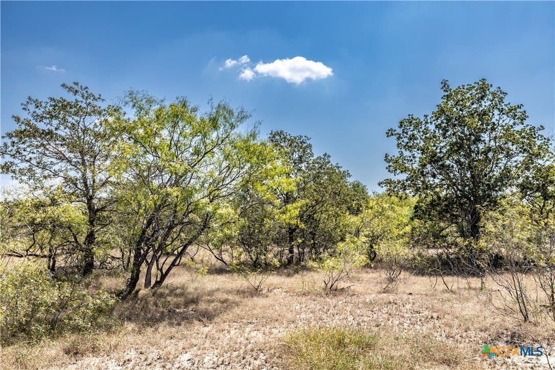 6 acres in Caldwell County - photo 11