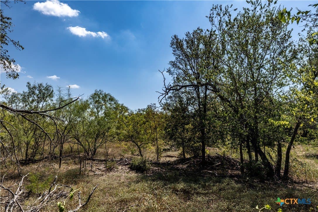 6 acres in Caldwell County - photo 10