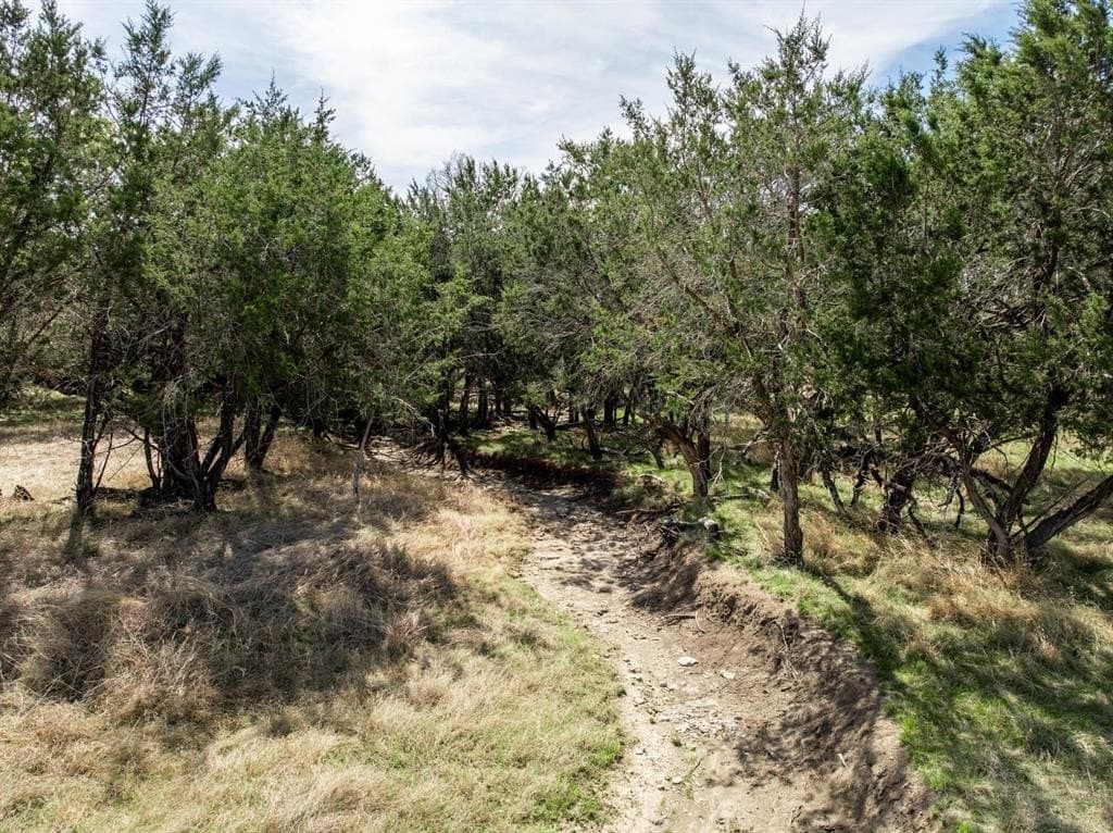 35.16 acres in Coryell County - photo 35