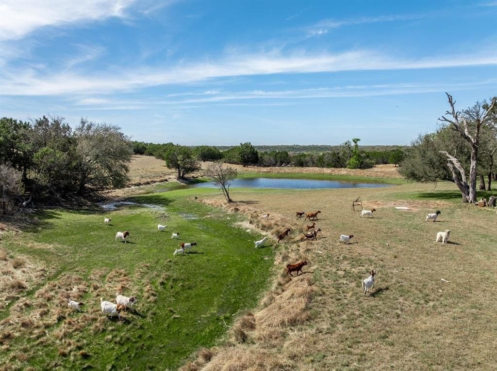 35.16 acres in Coryell County - photo 24