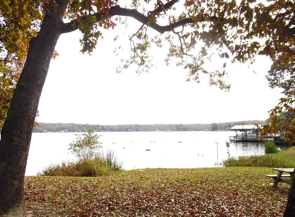 0.37 acres in Van Zandt County - photo 25