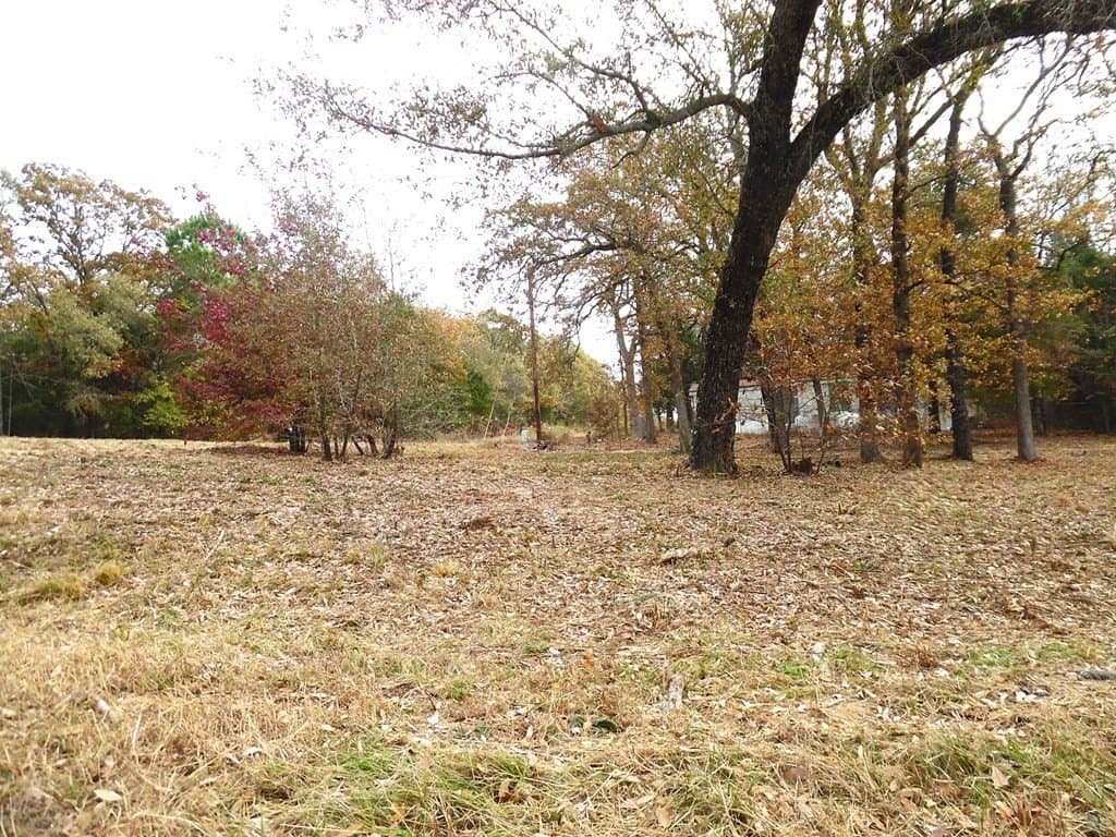 0.37 acres in Van Zandt County - photo 9