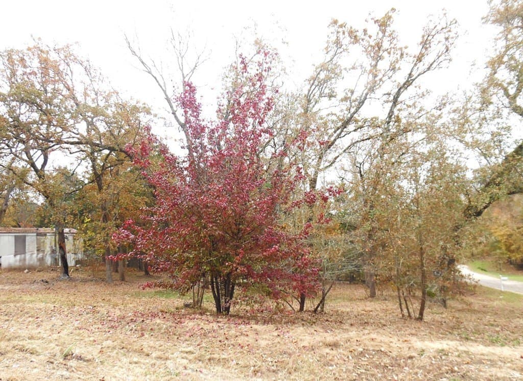 0.37 acres in Van Zandt County - photo 4
