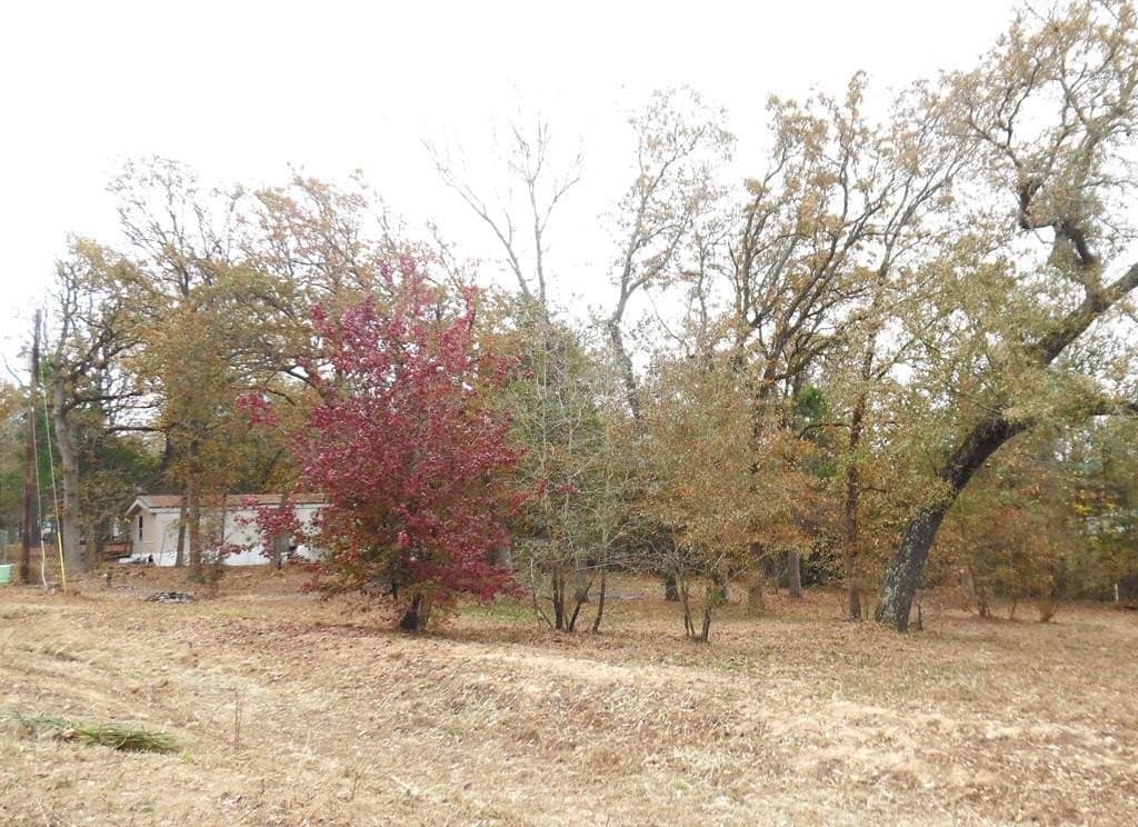 0.37 acres in Van Zandt County - photo 2