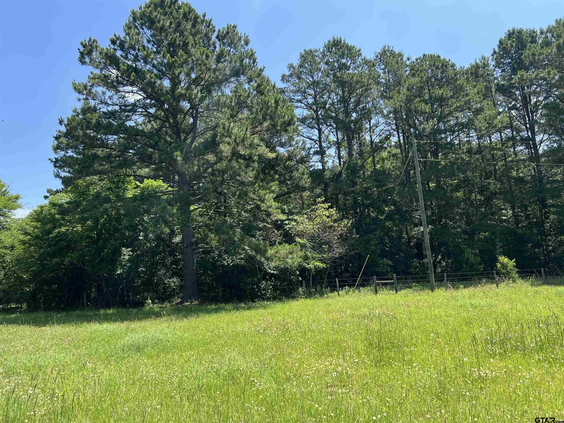 10.17 acres in Smith County - photo 3