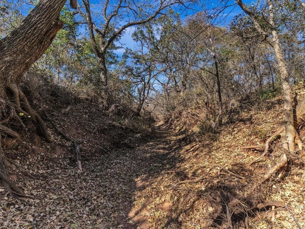 13.78 acres in Montague County - photo 9