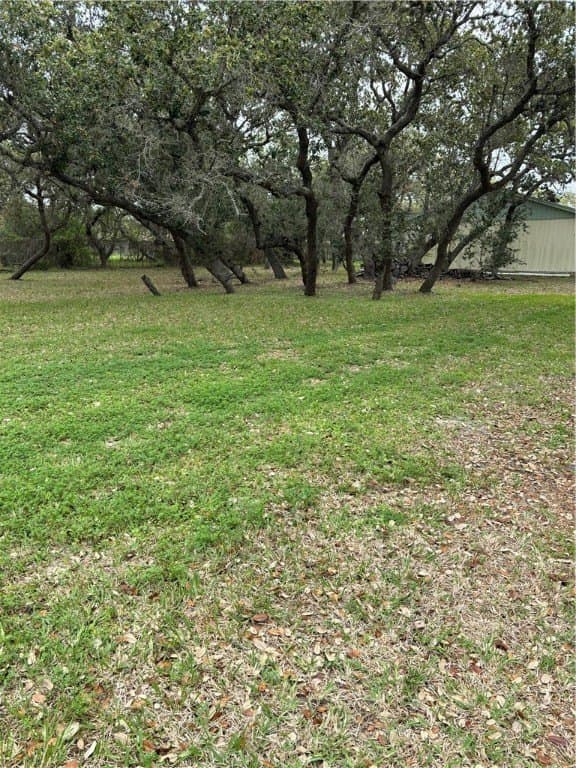 0.32 acres in San Patricio County - photo 3