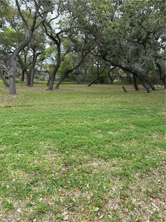 0.32 acres in San Patricio County - photo 2