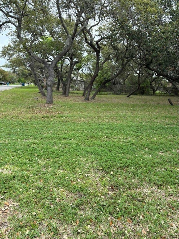 0.32 acres in San Patricio County - photo 4