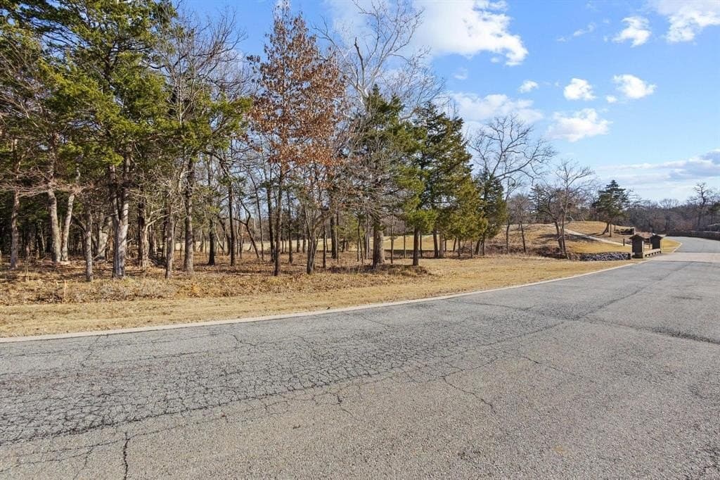0.39 acres in Grayson County - photo 6