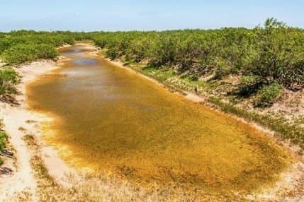 272.38 acres in Brooks County - photo 40