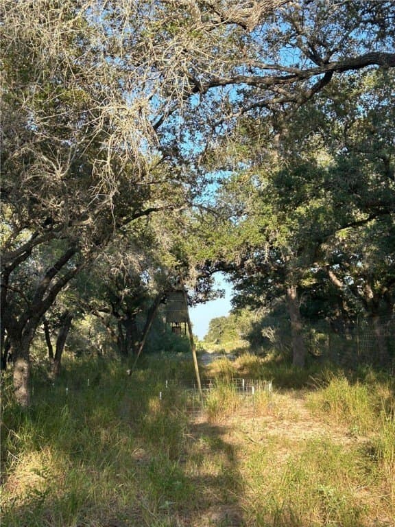 272.38 acres in Brooks County - photo 28