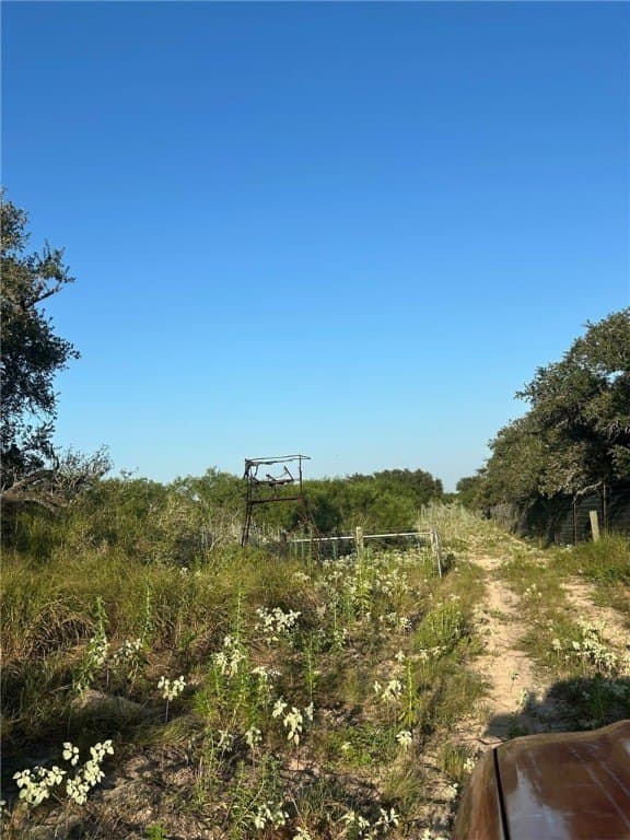 272.38 acres in Brooks County - photo 23