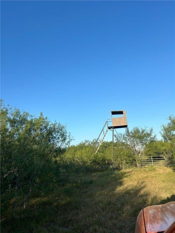 272.38 acres in Brooks County - photo 27