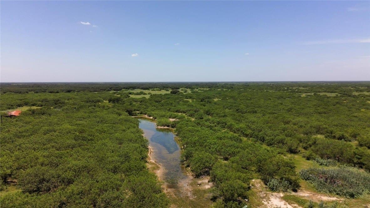272.38 acres in Brooks County - photo 6