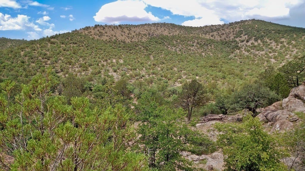 11.67 acres in Jeff Davis County - photo 29
