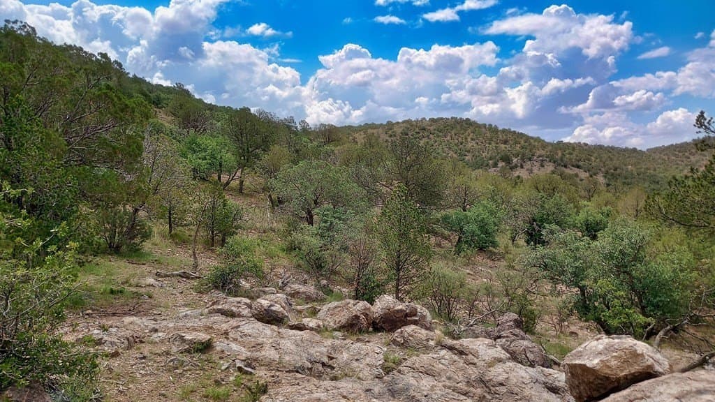 11.67 acres in Jeff Davis County - photo 30