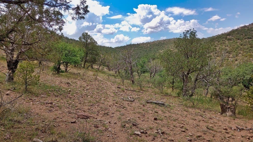 11.67 acres in Jeff Davis County - photo 31