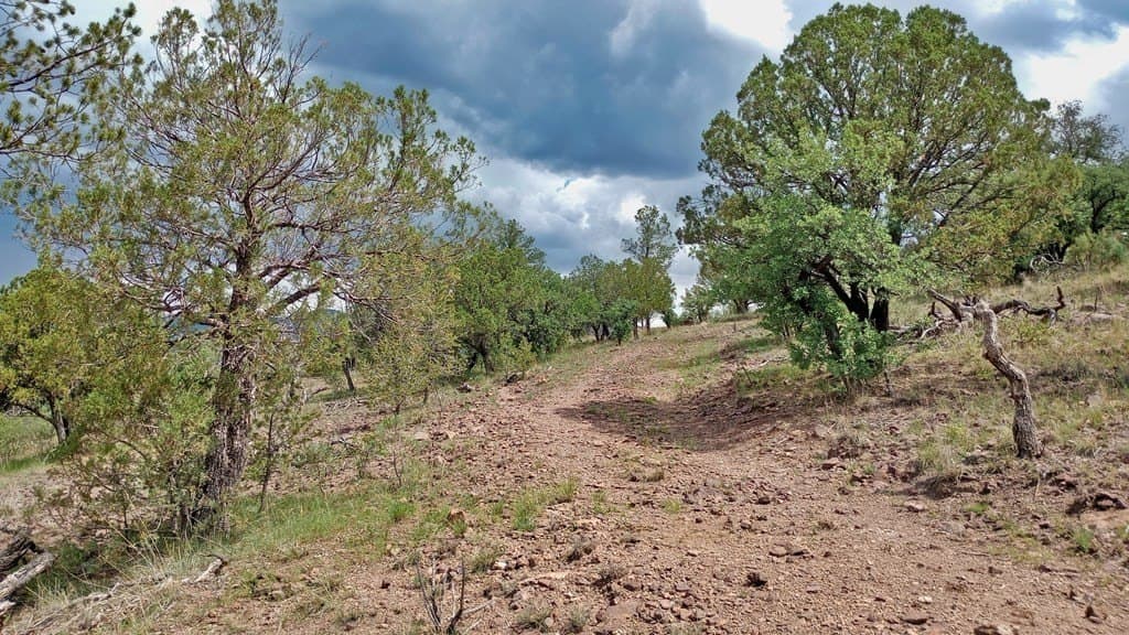 11.67 acres in Jeff Davis County - photo 23