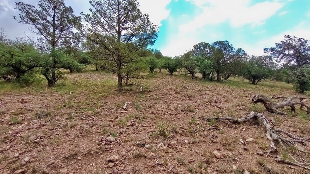 11.67 acres in Jeff Davis County - photo 32