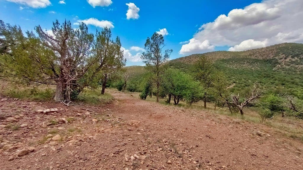 11.67 acres in Jeff Davis County - photo 33
