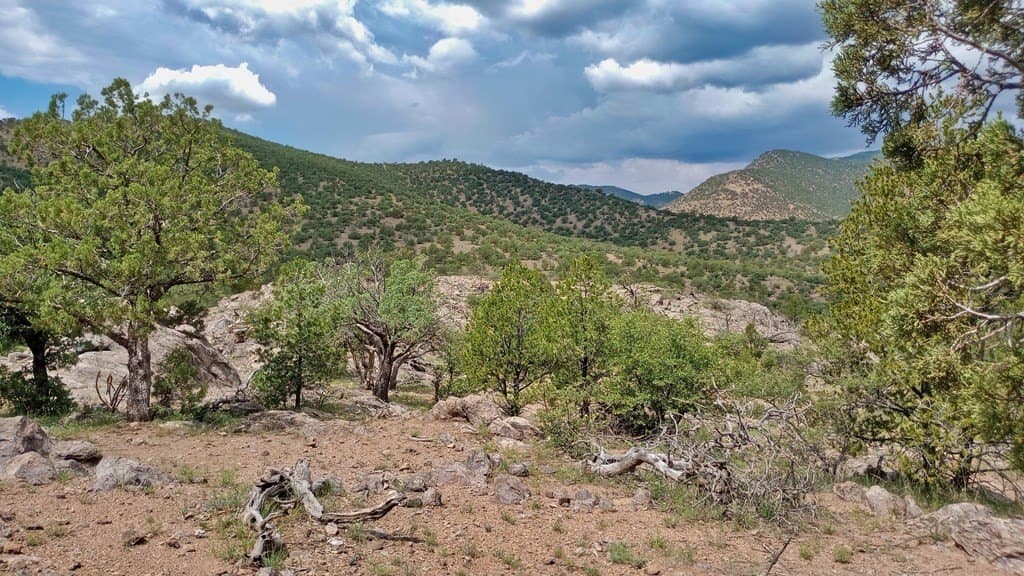 11.67 acres in Jeff Davis County - photo 25