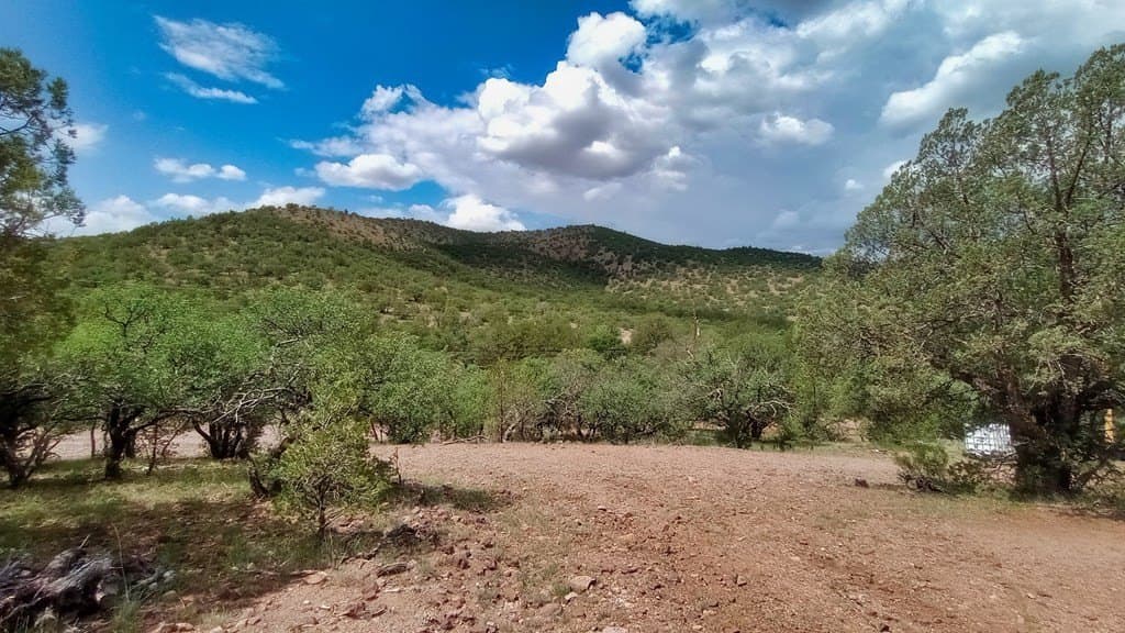 11.67 acres in Jeff Davis County - photo 22