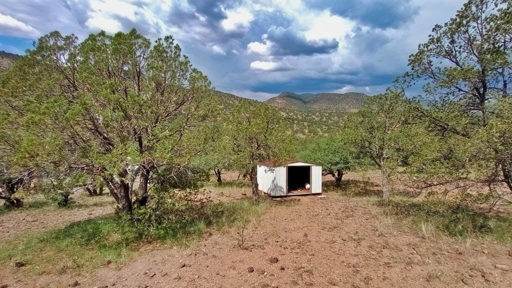 11.67 acres in Jeff Davis County - photo 18