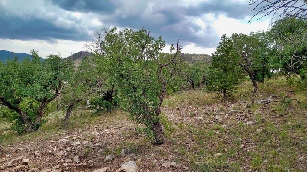 11.67 acres in Jeff Davis County - photo 24