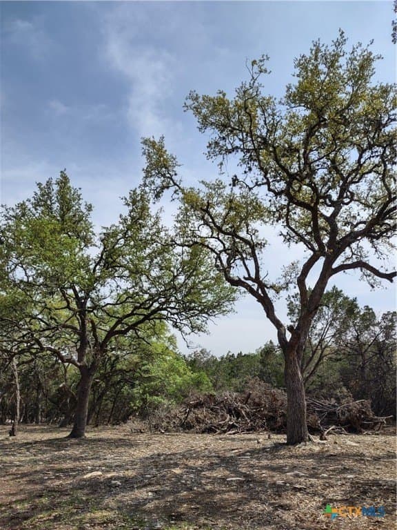 15.74 acres in Comal County - photo 3
