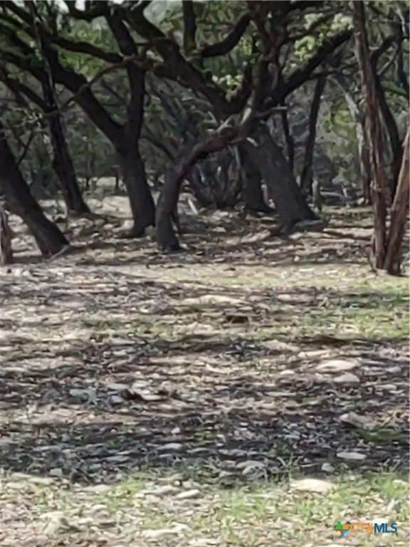 15.74 acres in Comal County - photo 4