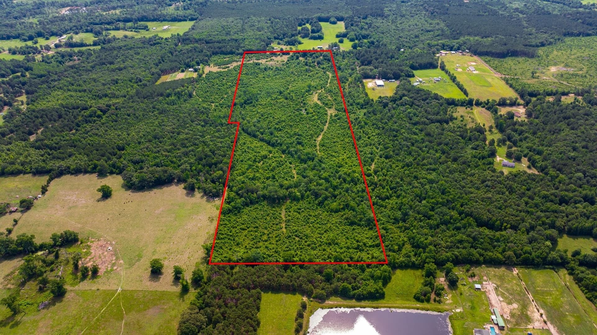 55 acres in Cass County - photo 5