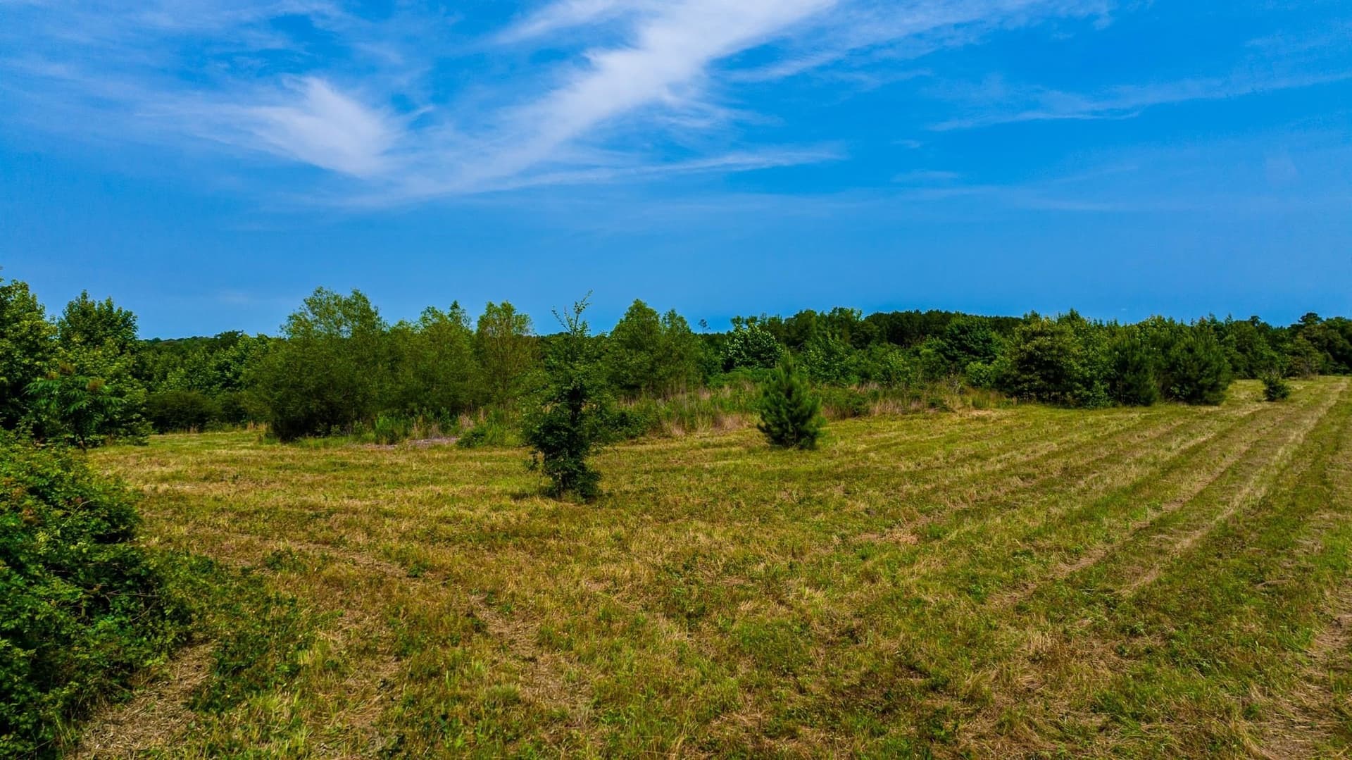 55 acres in Cass County - photo 13