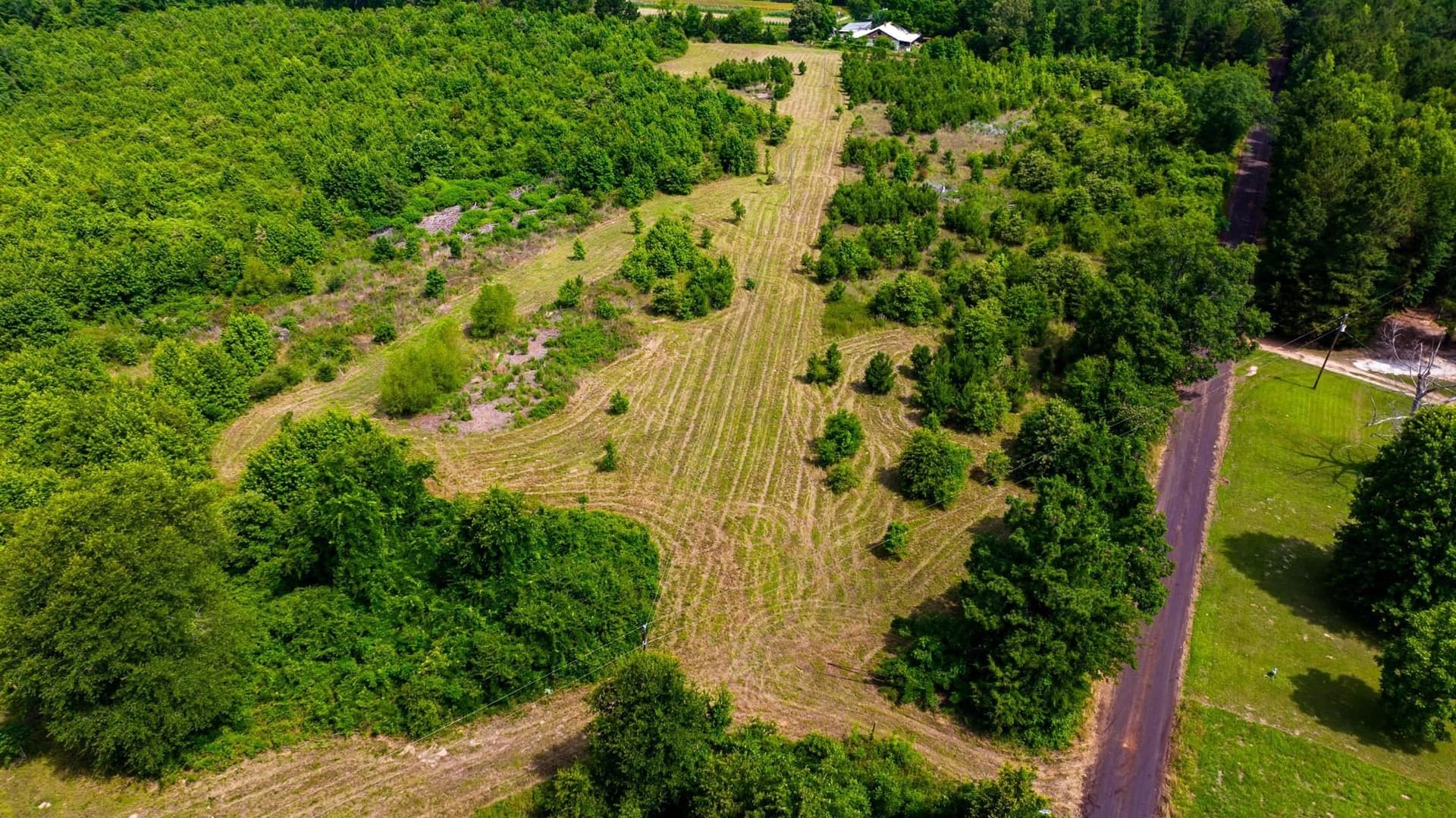 55 acres in Cass County - photo 7