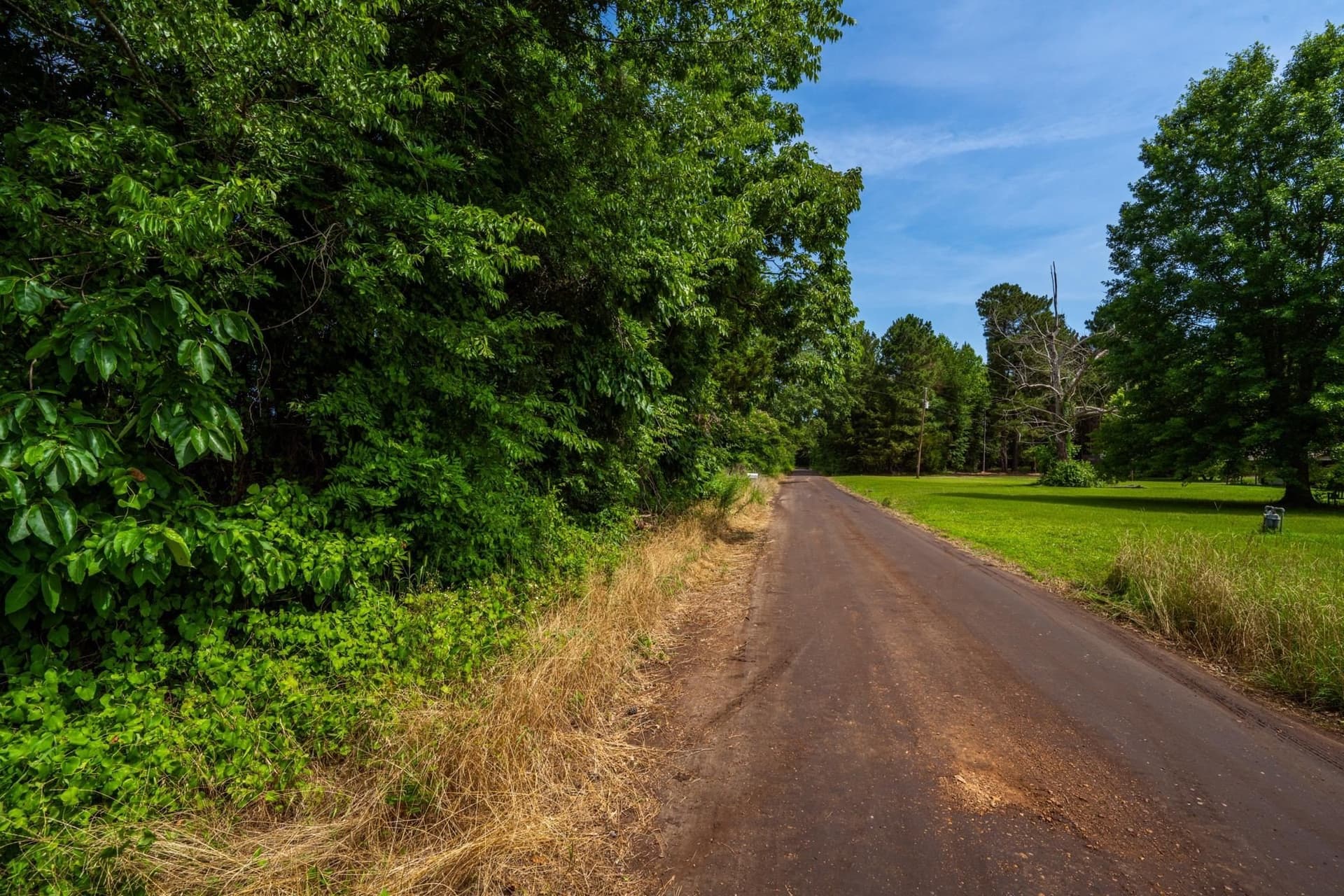 55 acres in Cass County - photo 2