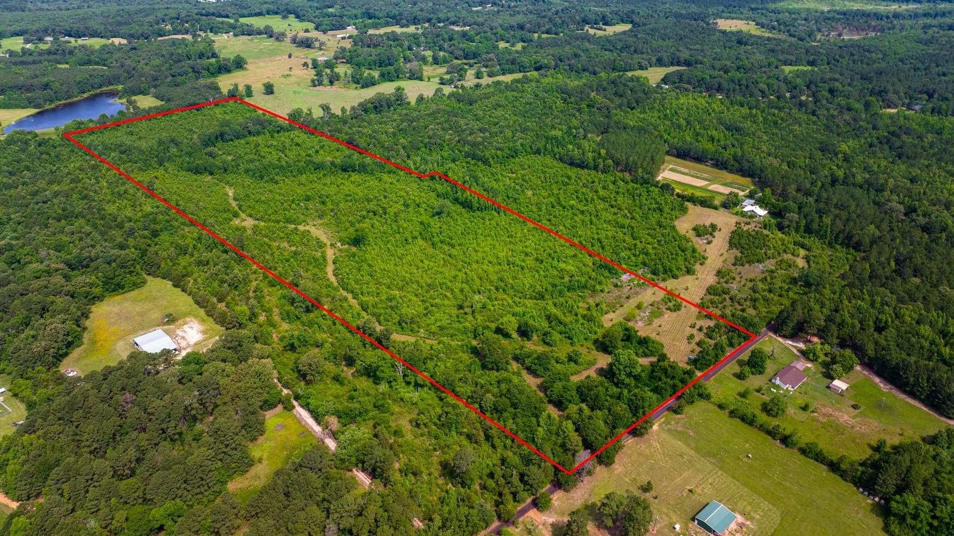 55 acres in Cass County - photo 20