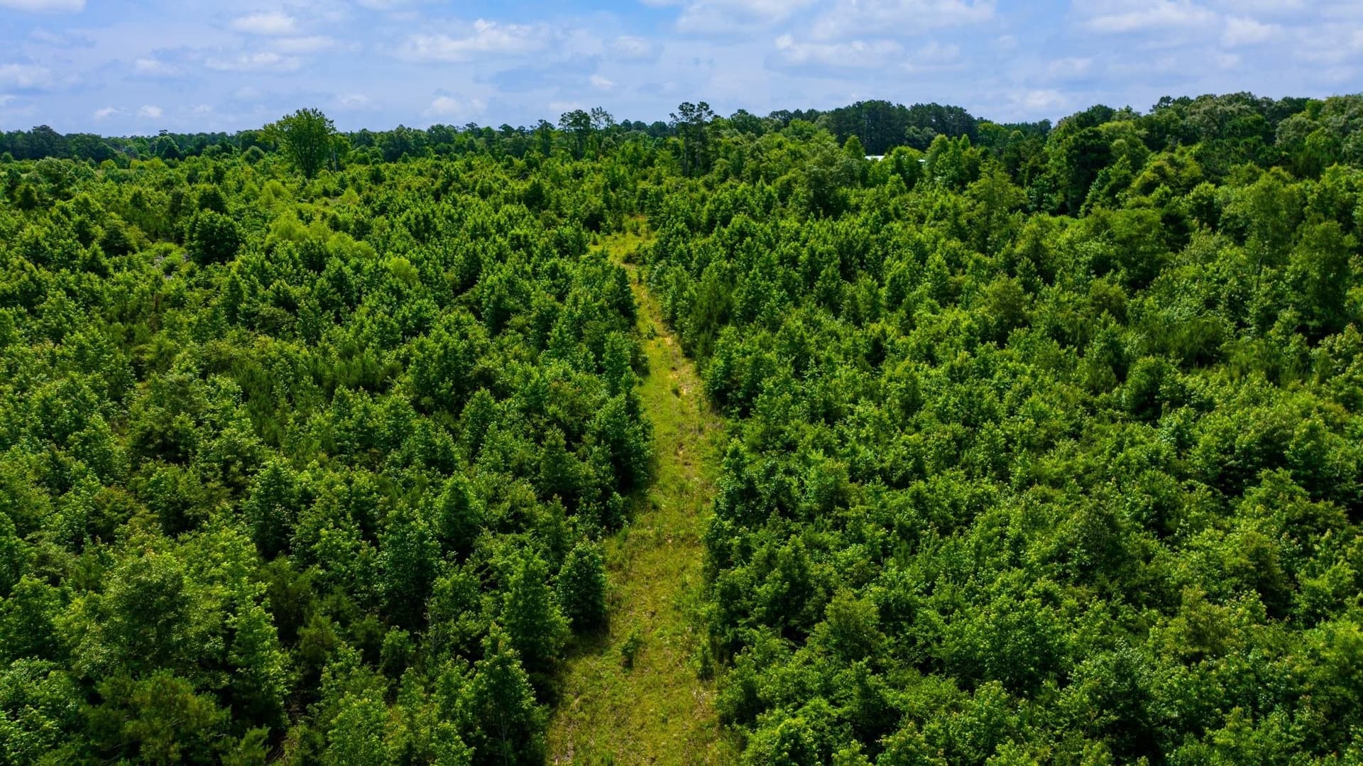 55 acres in Cass County - photo 27