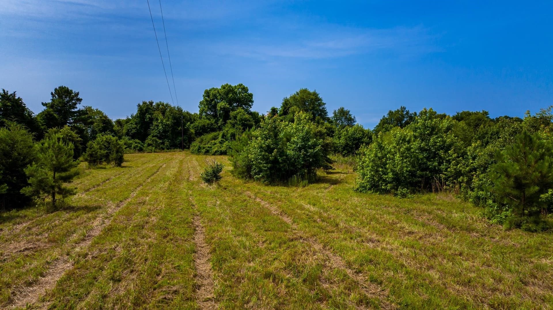 55 acres in Cass County - photo 17