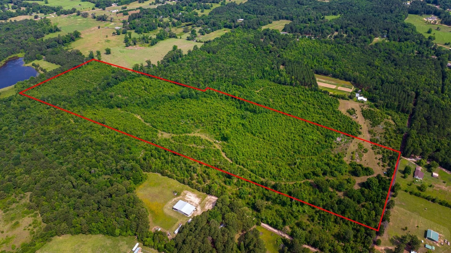 55 acres in Cass County - photo 21