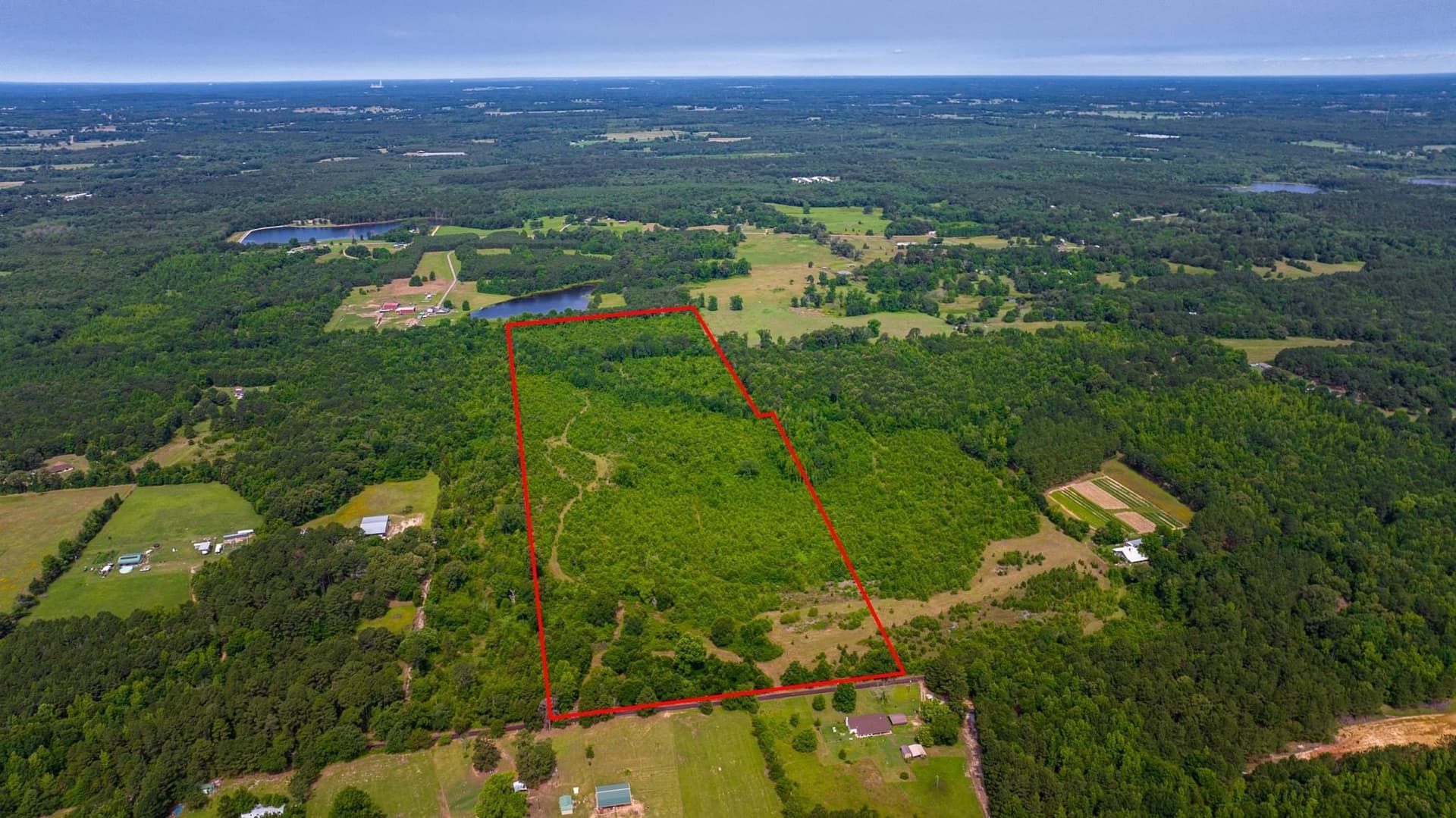 55 acres in Cass County - photo 4