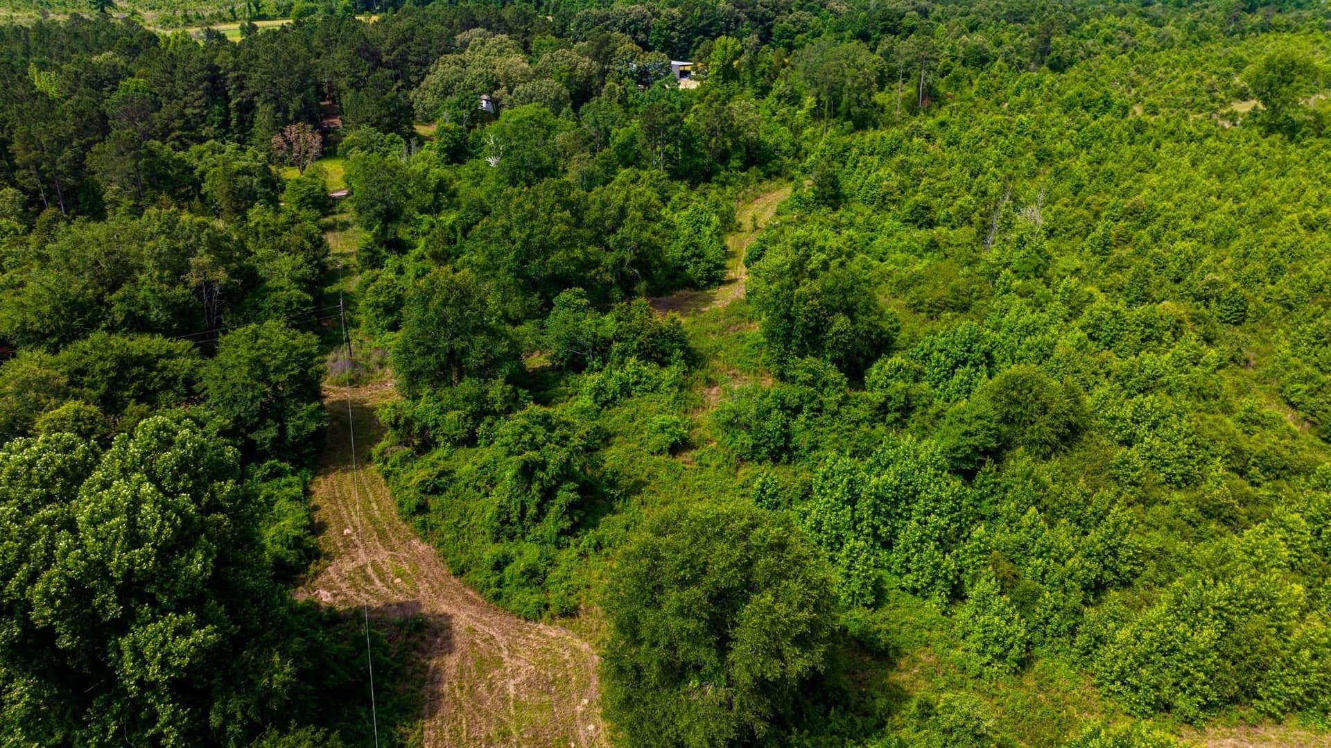 55 acres in Cass County - photo 8